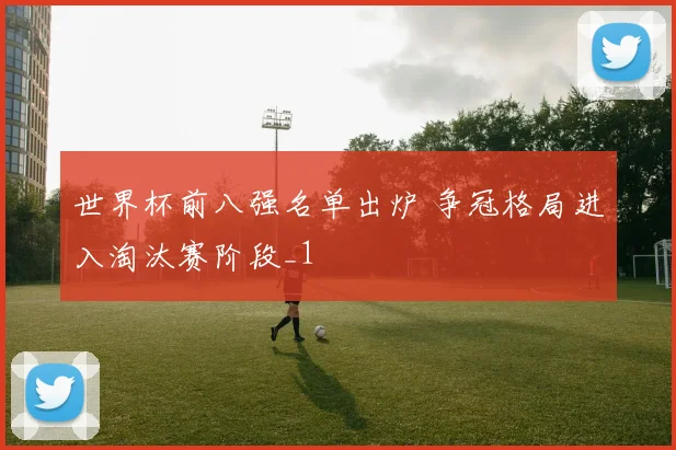 世界杯前八强名单出炉 争冠格局进入淘汰赛阶段_1