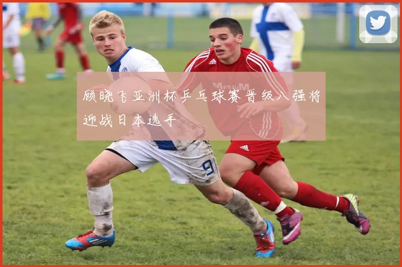 顾晓飞亚洲杯乒乓球赛晋级八强将迎战日本选手