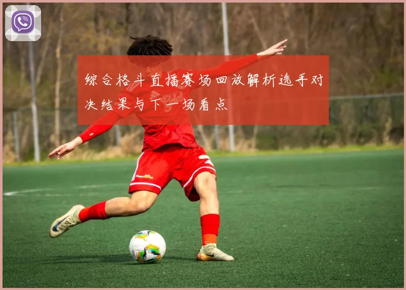 综合格斗直播赛场回放解析选手对决结果与下一场看点